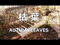 枯葉 AUTUMN LEAVES/ジョゼフ・コズマ J.Kosma ピアノ cover アレンジ  上柴 はじめ