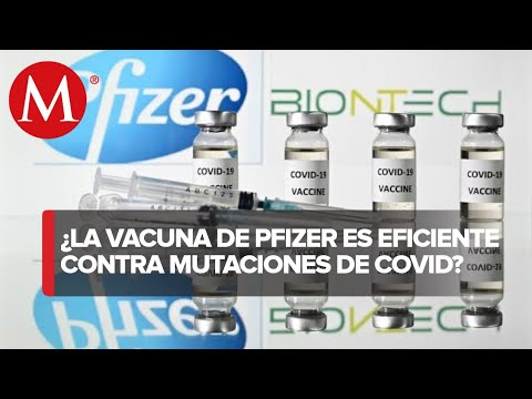 Vacuna anticovid de Pfizer muestra eficacia en nuevas cepas