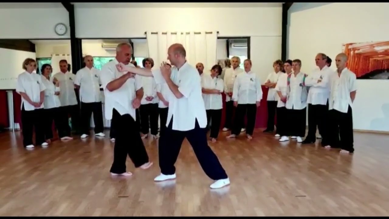 Application coup de poing circulaire Taiji style Yang par Thierry Alibert 7ème Dan FFK