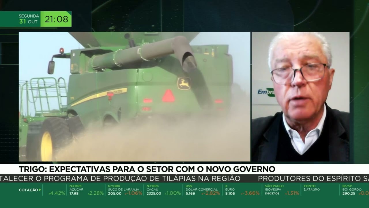 Trigo: Expectativas para o setor com o novo governo