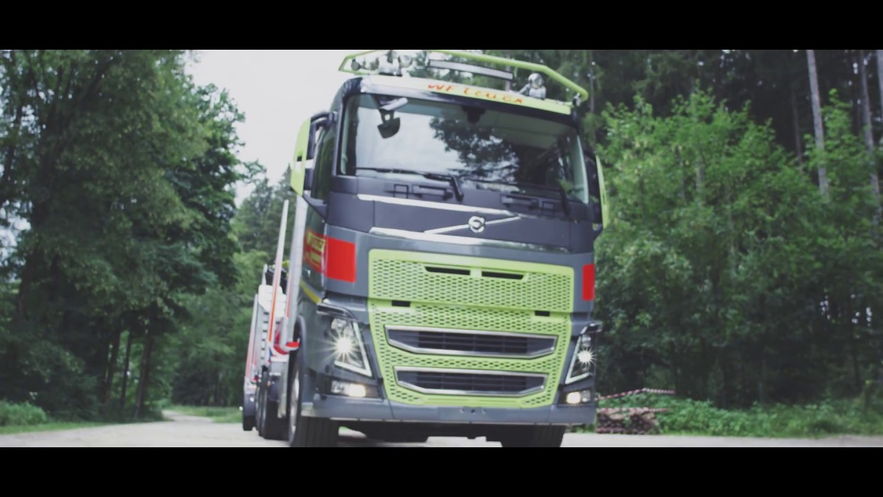 WF TRUCK der andere Holzzug