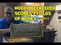 Extracting 710 lbs of our 2020 Honey Harvest S4E52 #beekeeping #honeyharvest