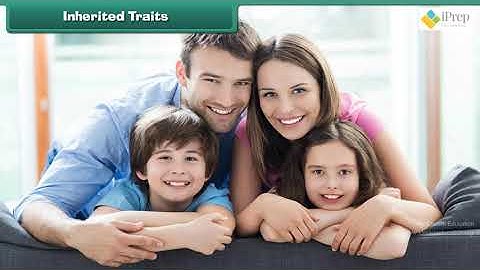 Class 5 EVS Chapter - 21 "Like Father, Like Daughter" ncert Environmental studies Looking Around