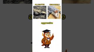 Alligator vs Crocodile: The 1 Dead Giveaway 🐊