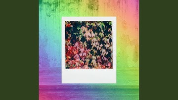 Simplistic Backdrops for October Heaven