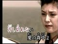 さよなら岬   大城バネサ   カバー 王瑞德