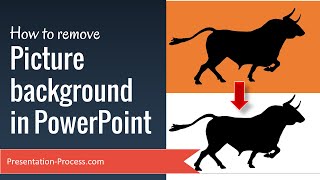 How to remove Picture Background in PowerPoint