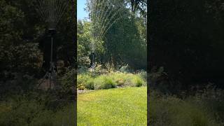 How to water drought tolerant plants