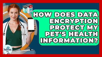 How Does Data Encryption Protect My Pet