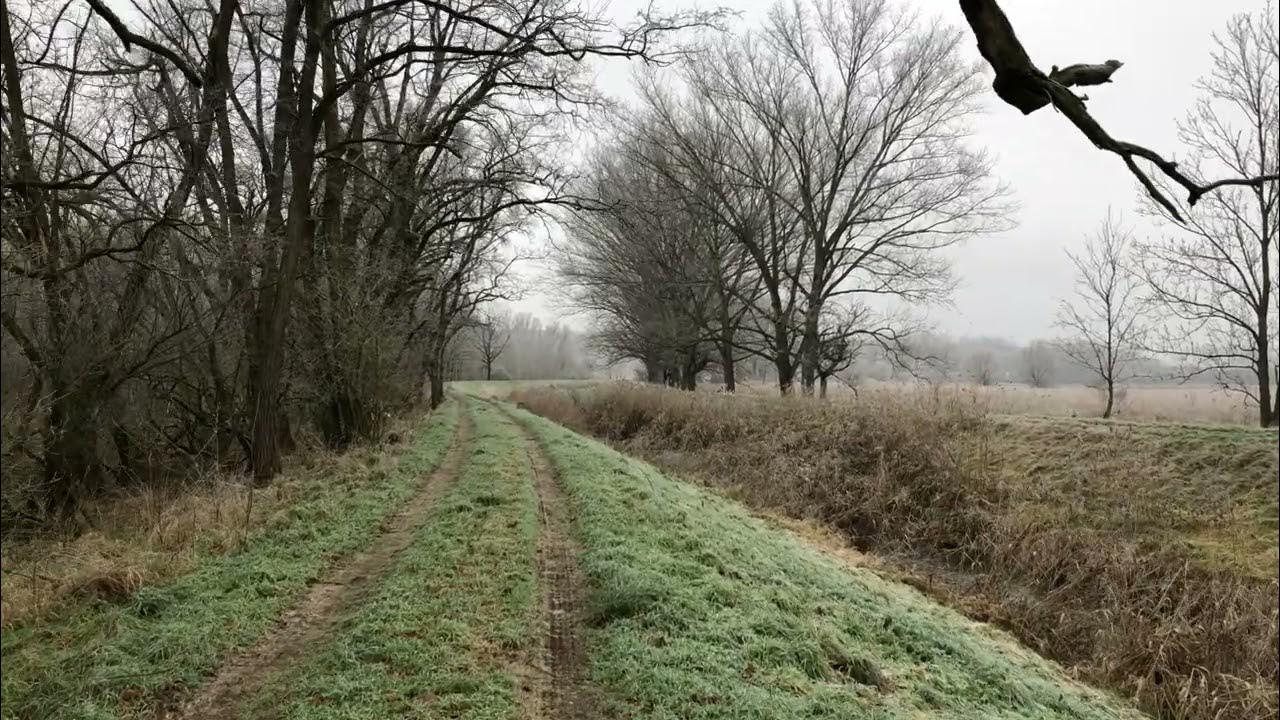 Relax walking Jevišovka YouTube