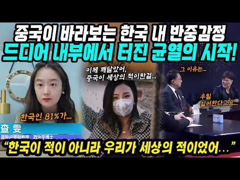 중국반응│중국이 바라보는 한국의 반중감정│알고보니 우리가 전세계의 적이었어│온라인을 중심으로 퍼져나가는 중국의 실체│중국어로[路]