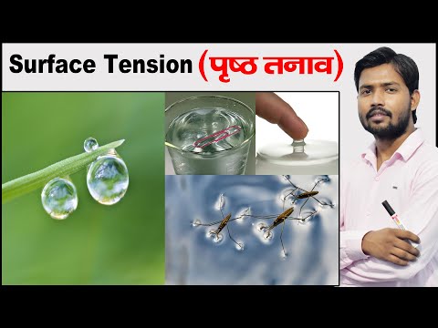 Surface Tension | Examples of Surface Tension | Fluid Mechanics | Physics by Khan Sir