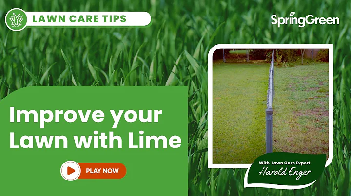 When to Apply Lime to Your Lawn | Lawn Treatment Tips