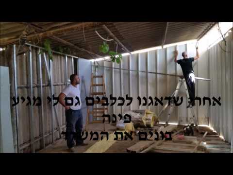 וִידֵאוֹ: כיצד לבנות כלביית כלבים