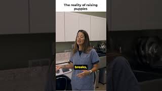 The Reality Of Whelping And Raising Puppies