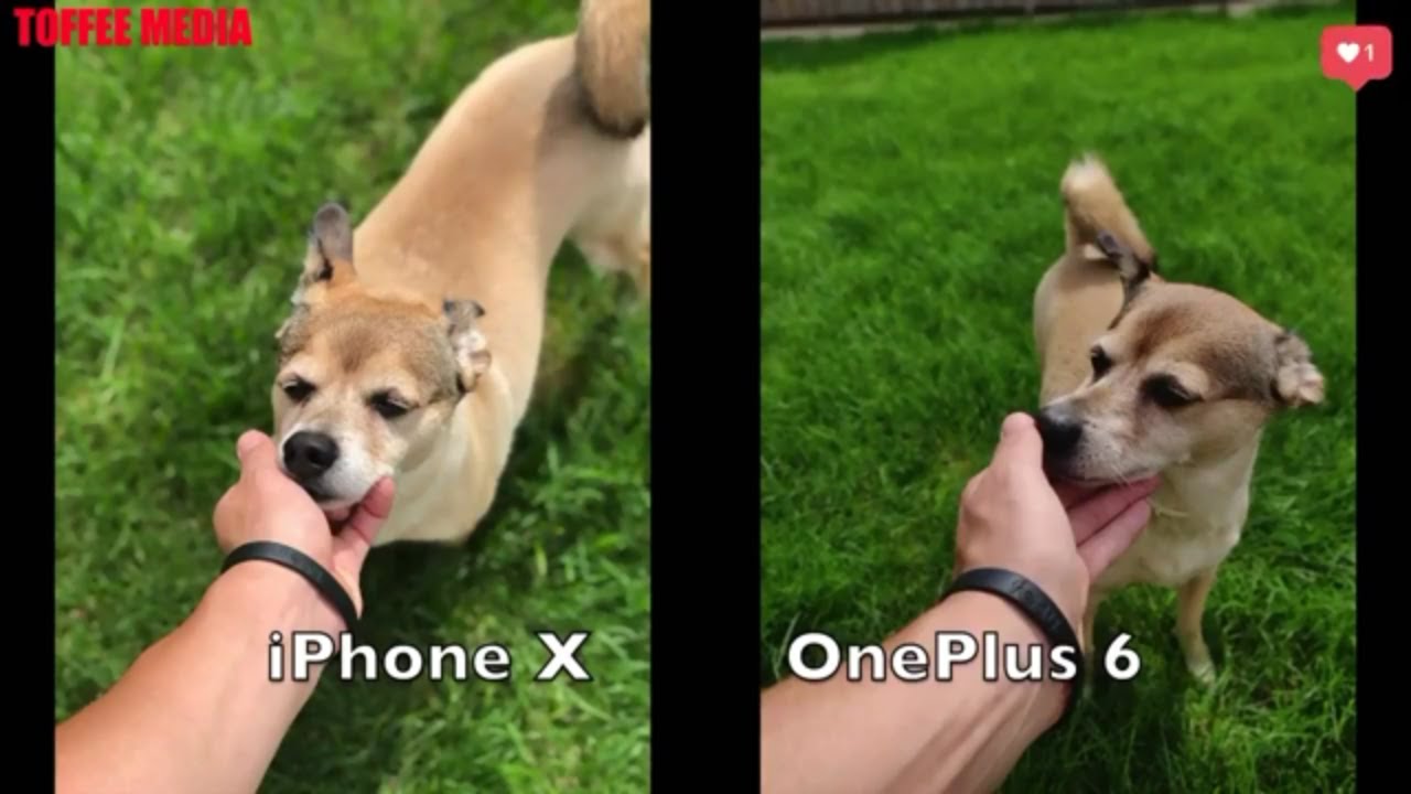 Camera Test Oneplus 6 vs Iphone x Camera Review (Best Camera Phone