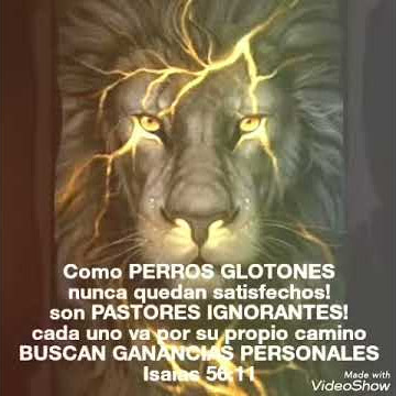 Perros glotones! Pastores Ignorantes! Ganancias personales