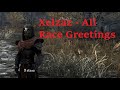 Meeting xelzaz  all race greetings