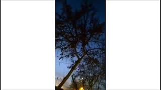 Tuğçe Kandemir - Bin Pişman