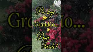 Boa tarde, Por hoje: GRATIDÃO meu DEUS🙏 #boatarde #mensagem #motivação #reflexão #gratidão #fé #hoje
