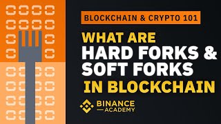 What Are Hard Forks & Soft Forks in Blockchain  ｜Explained For Beginners