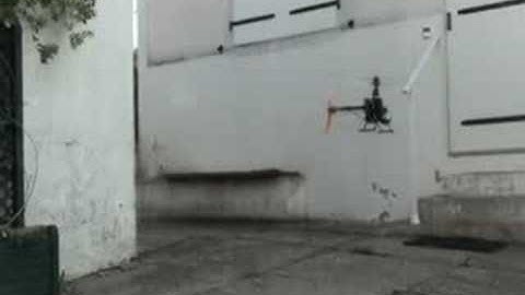 First Vidéo Belt CP