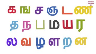 Tamil uyirmei ezhuthukkal | தமிழ் உயிர்மெய் எழுத்துக்கள் | க ங ச ஞ பாடல் | Tamil alphabets &amp; rhymes