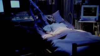 Chloelex Living Out Our Dreams For Ashley