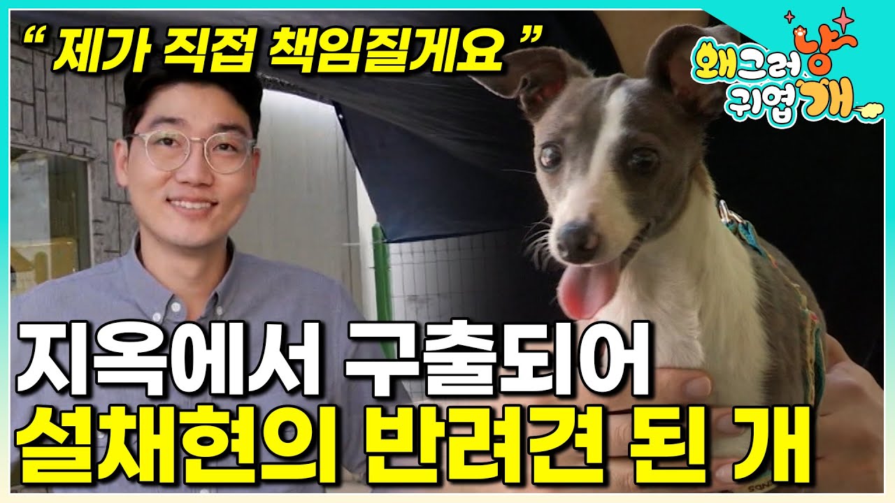 "책임지지 않을 거면 오지도 않았다" 지옥에서 나와 대한민국 최고 전문가의 품안에 설채현쌤과 세상이와의 만남│