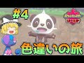 【色旅#4】ヤンチャムを野生厳選！【ポケモン剣盾】【ゆっくり実況】