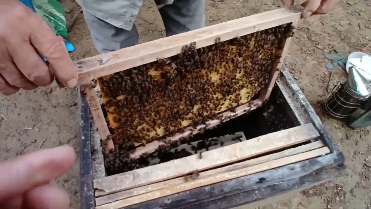 CHIA ĐÀN CẦU CHÚA ĐỢT 1 ,PHẢI CÓ KẾ TIẾP CẦU CHÚA THỨ2.MỜI CÁC BẠN CÙNG XEM.