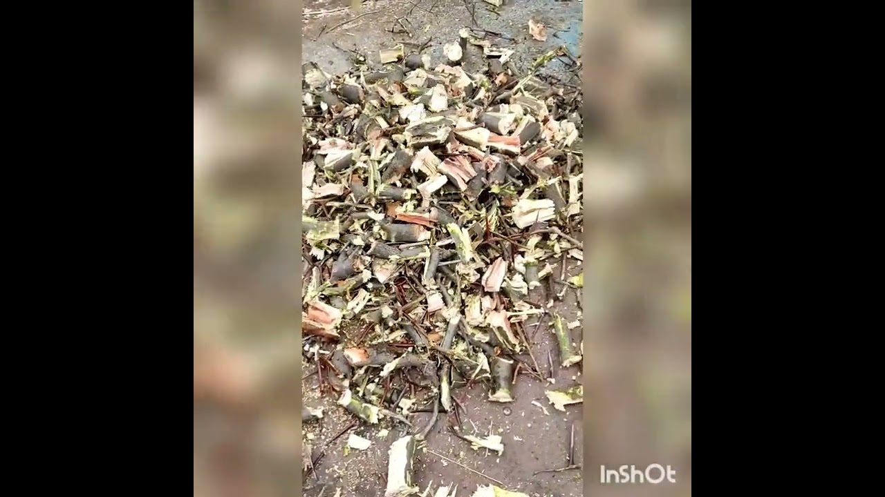 Щепорез в роботе .