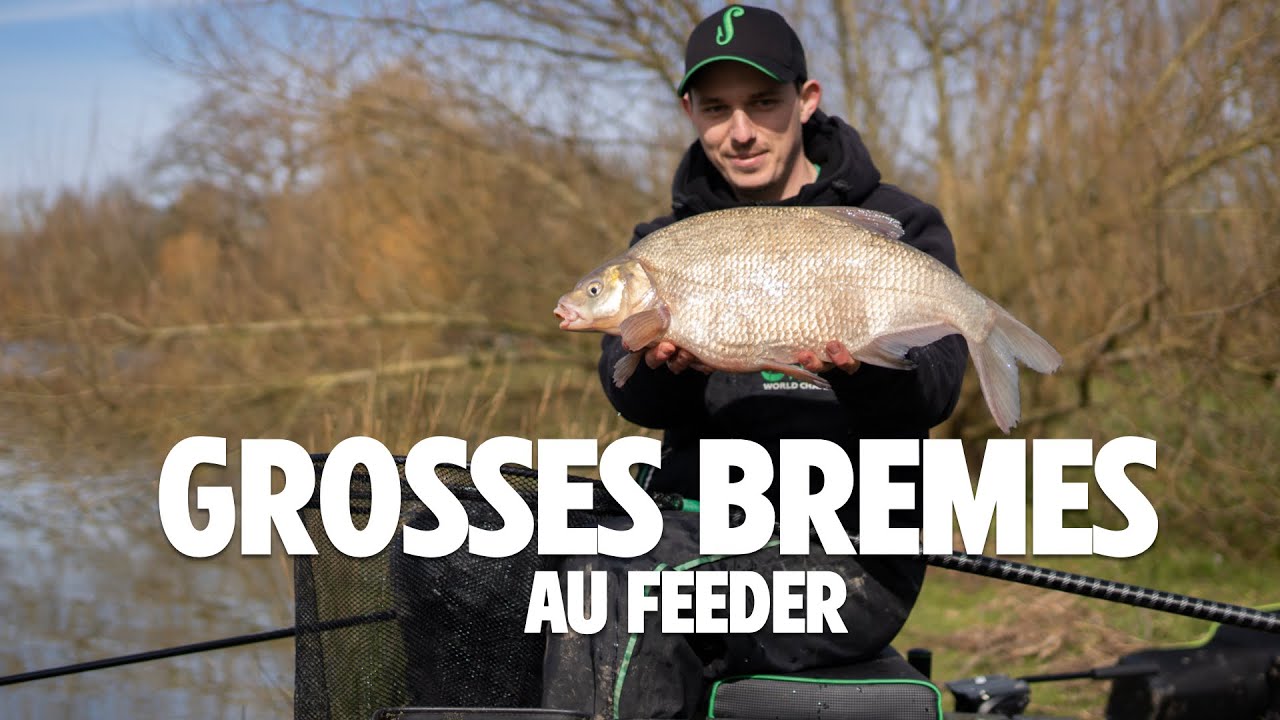 Grosses brèmes au feeder avec Maxime Gruyer
