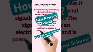 Let's Know How Neurons Work |Short Questions General Science And Ability #biology #science #shorts