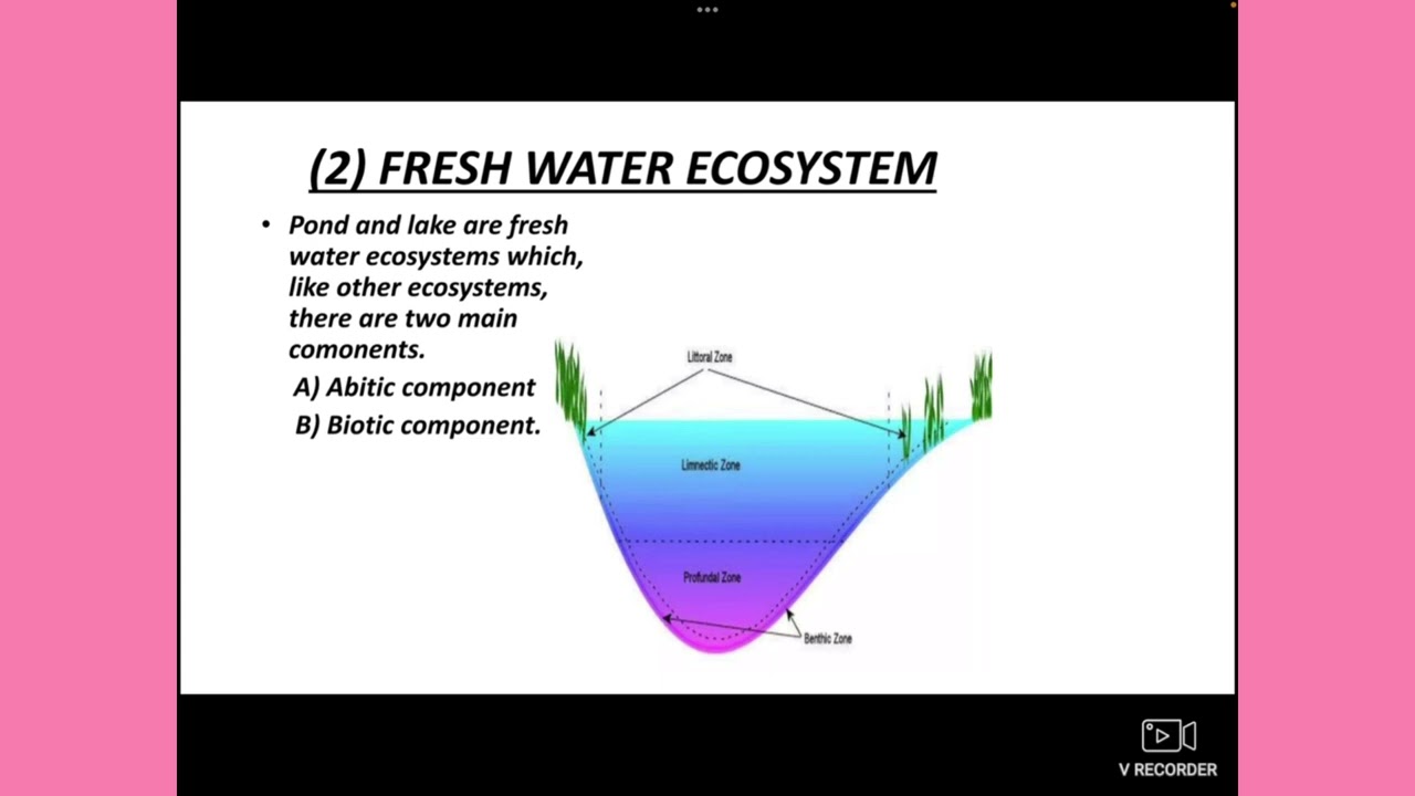 Structure and functions of aquatic ecosystems