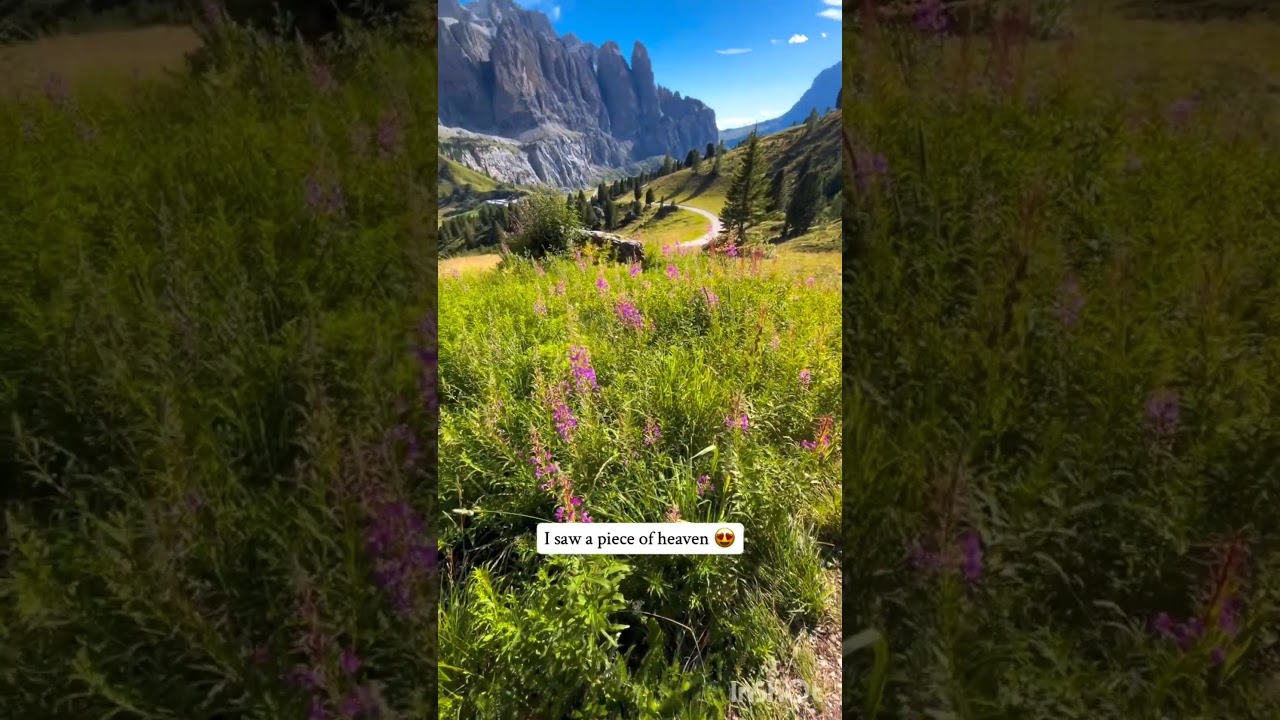 Healing powered by mountain air & wildflowers mountains ⛰️🪻😍 📍Passo Gardena, Dolomites, Italy🇮🇹