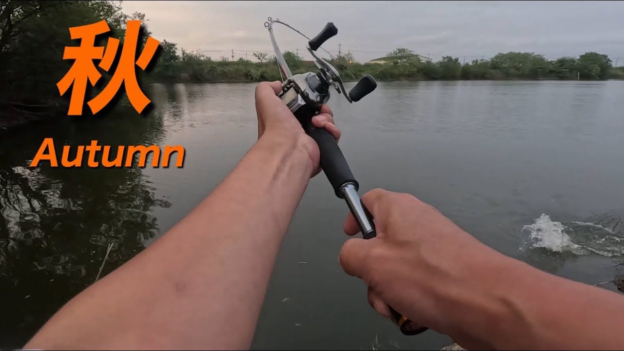 2025年10月下旬　秋　Autumn 【埼玉バス釣り】　俺のバスを求めて　どうぞ〜！