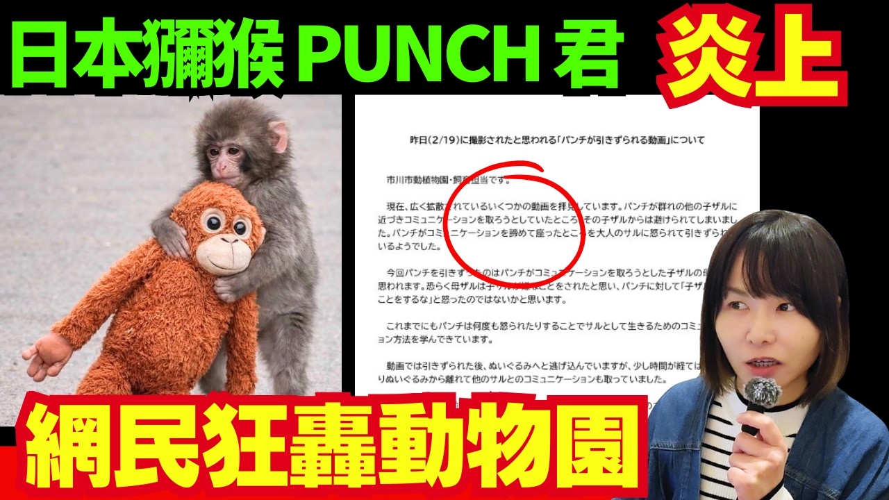 點解馬騮仔PUNCH君爆紅後園方反被批評？日本獼猴PUNCH | IKEA毛公仔爆紅