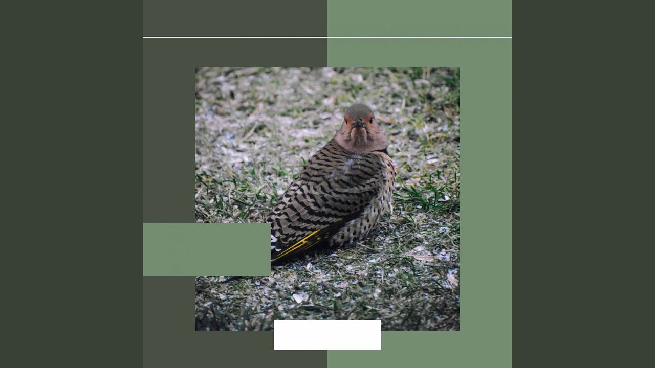 Vintage Backdrops for Recharging Moods