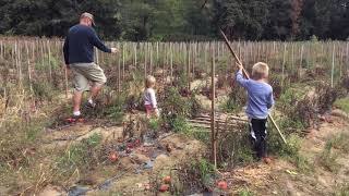 Why Uconn Extension With Bruce Gresczyk Jr.