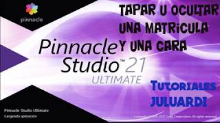 Tutorial PINNACLE 21: Tapar u ocultar una matricula o una cara screenshot 5