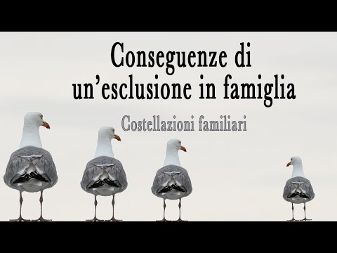 Video: Quando Si Cerca Big Love (costellazione Hellinger)