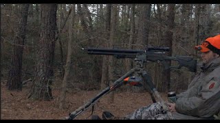 Umarex Air Saber Review (Frustrating and Unreliable!)