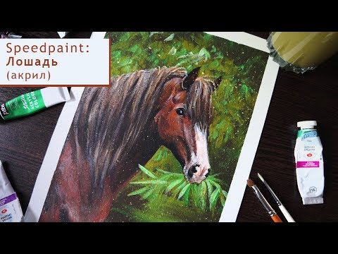 Рисую лошадь акрилом / I draw a horse with acrylics / Speedpaint