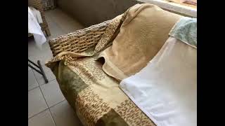 78370792379 04945A55 F47D 474F 8C44 5397Cf2F017F