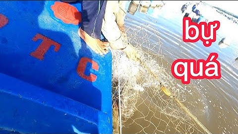 hai cha con đi thăm lưới cá chẽm, được hai con cá khủng,(lê nghĩa cần giờ)