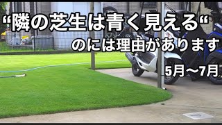 芝生に数種類の肥料を試しに使用してみました