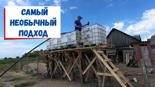 видео: Такое должно быть у каждого голубичника картинка: Такое должно быть у каждого голубичника