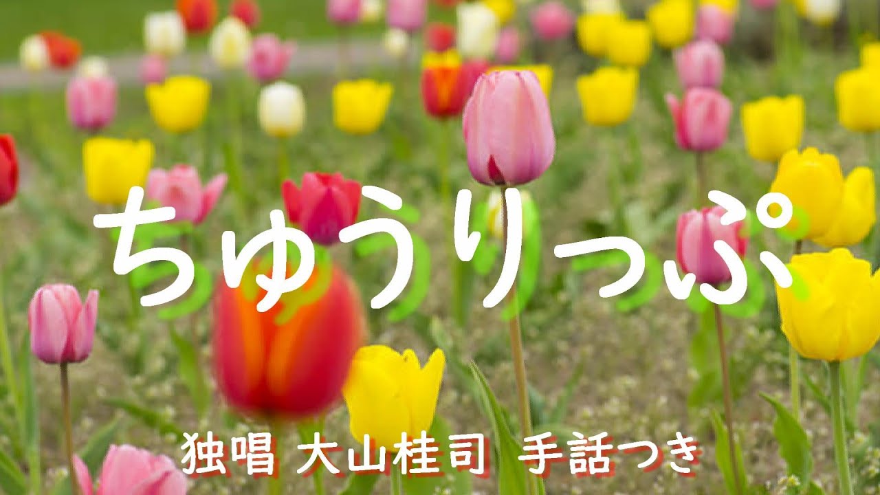 手話】ちゅうりっぷ=童謡・唱歌（歌詞付き）covered by大山桂司／まり 
