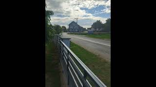 Cupid  Jack Stauber best Part Loop